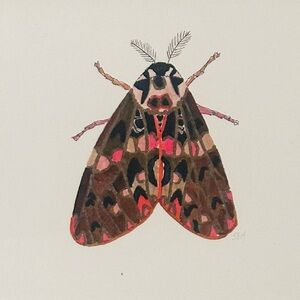 Colorful Moth Art Print